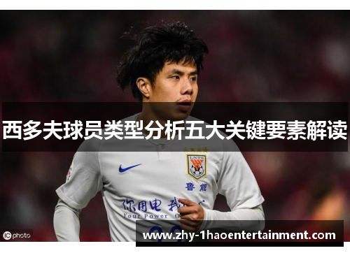西多夫球员类型分析五大关键要素解读 西多夫球员类型分析五大关键要素解读